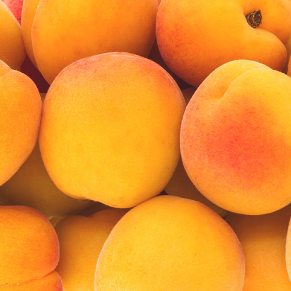 Sulmona Peaches